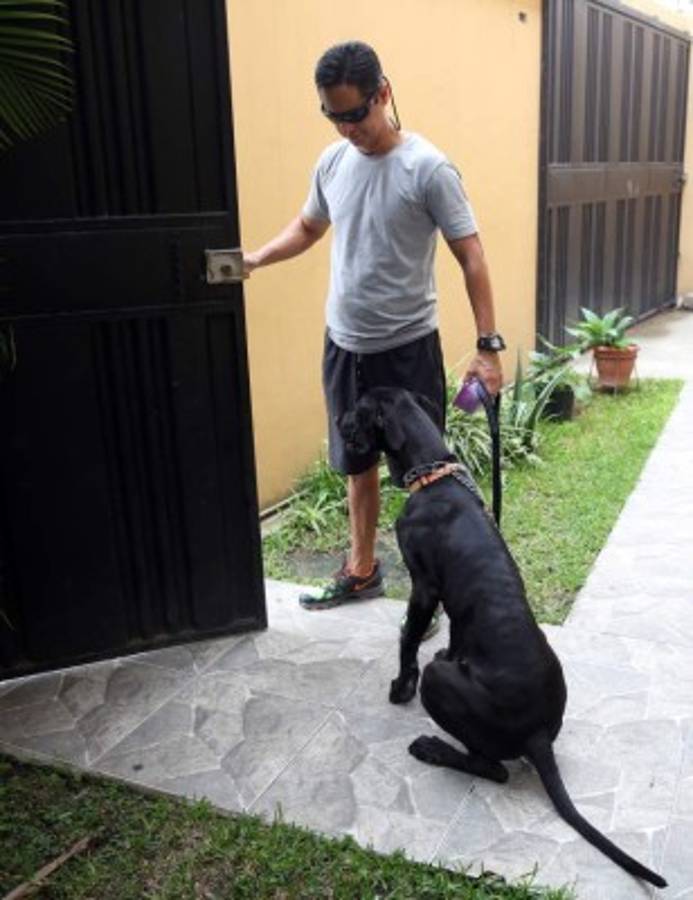 Consejos para entrenar a su perro en casa