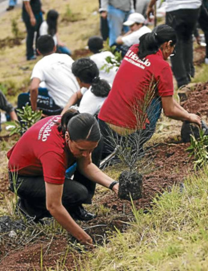 Escuelas Amigables deja su huella ecológica en la capital