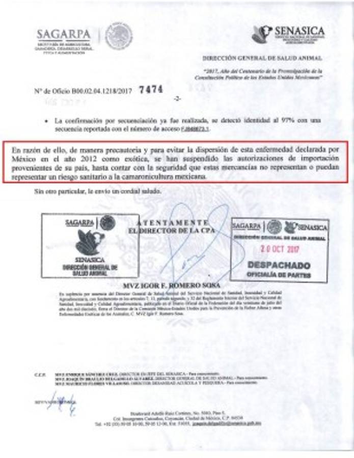 México cierra su mercado al camarón de Honduras