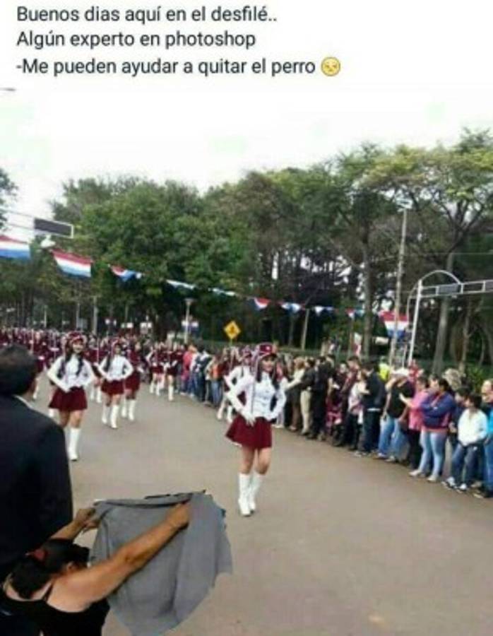 Foto del perro en desfile se vuelve viral en redes sociales