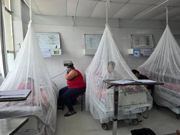 <b>Los menores de edad están convirtiéndose en la presa vulnerable de esta epidemia.</b>