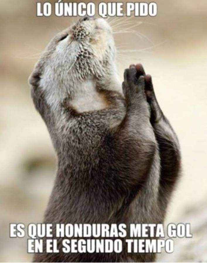 Los divertidos memes del partido entre Honduras y Argentina