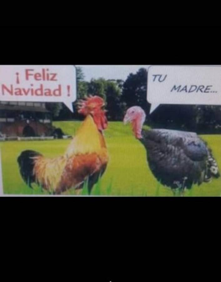 Los mejores chistes de la semana