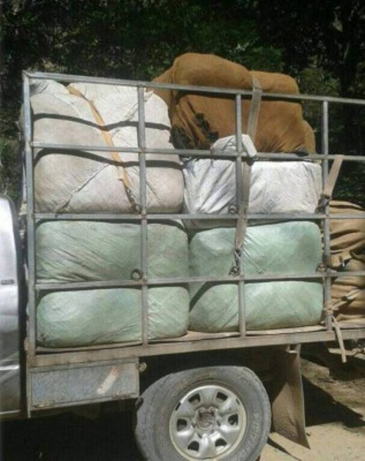 Honduras: La Fuerza Maya-Chortí cerca de celebrar su primer aniversario