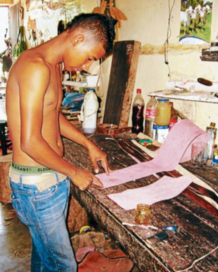 Tierra del aserrío y procesamiento de la madera