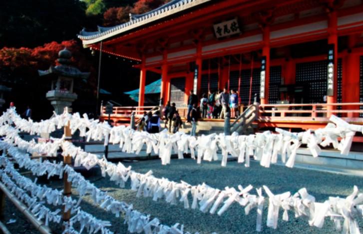 15 datos curiosos de Thanksgiving que debes conocer