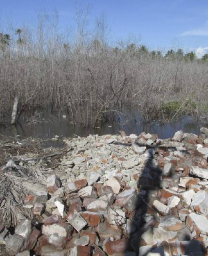 Reportan severos daños en el manglar del sector de Marcovia
