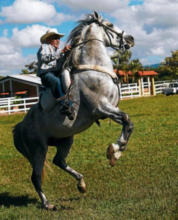 Los caballos tienen una escuela en Talanga