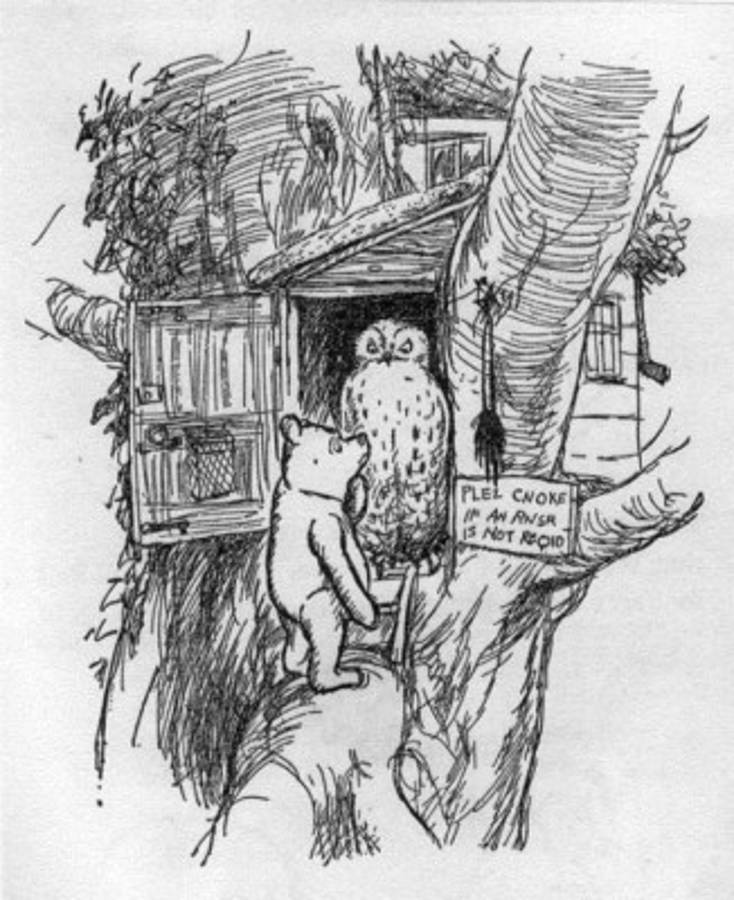 Revelan fotos del verdadero Winnie the Pooh