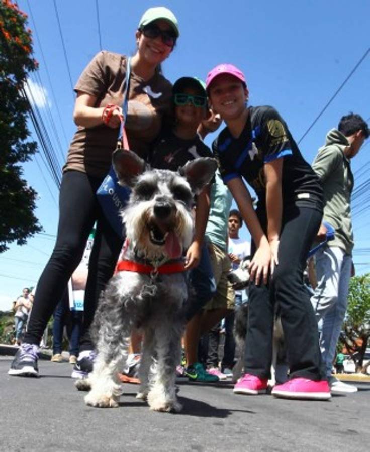 Honduras: Singular festejo para mascotas