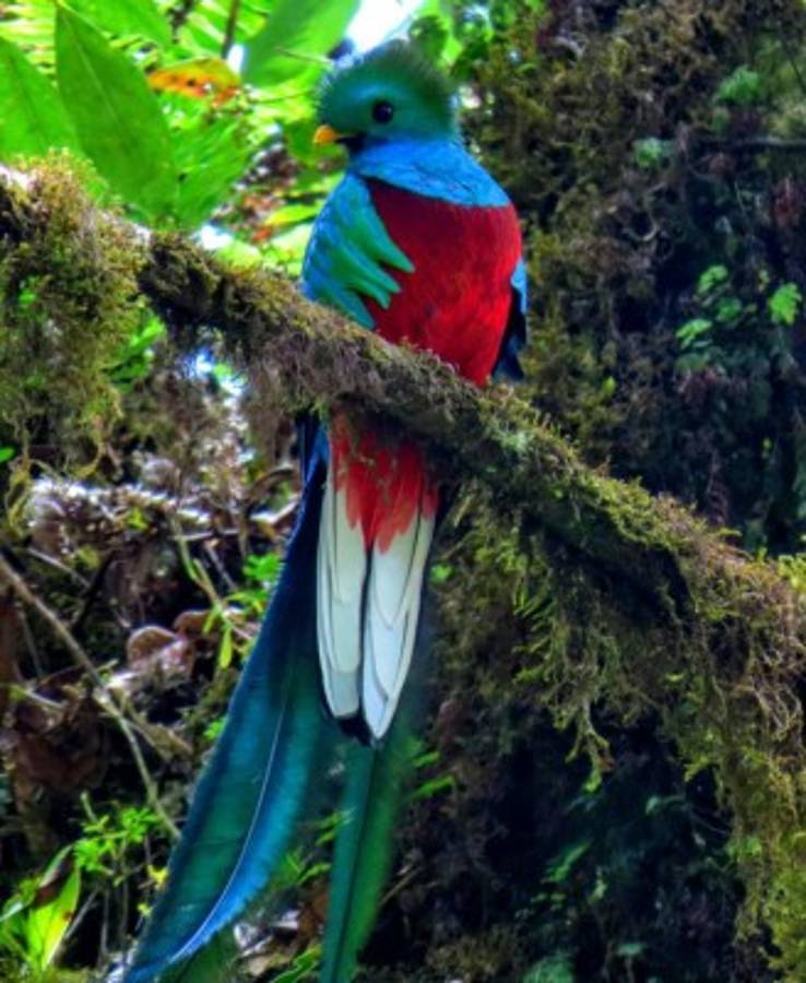 Un descubrimiento en Los Confines