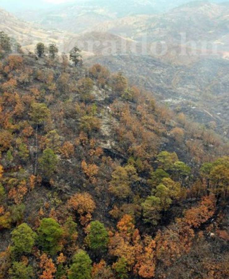 Los daños provocados por incendio en El Hatillo
