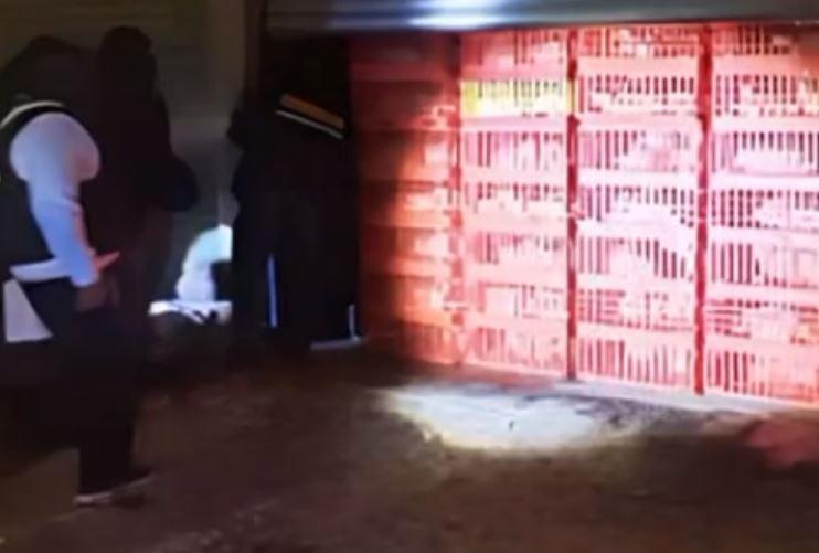 Vestida de novia, capturan a extorsionadora en Toluca; su novio logró huir