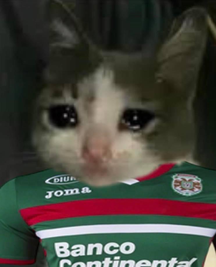 ¡No perdonan! Los mejores memes que dejó el triunfo de Olimpia sobre Marathón