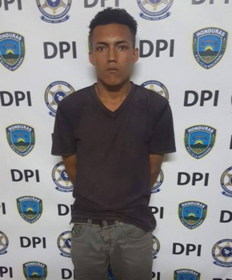 Honduras: escondidas en bolsas de gallinaza encuentran drogas