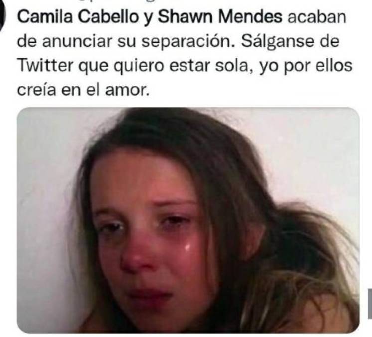 ¿Con quién se queda el perro? Los memes que dejó la separación de Camila Cabello y Shawn Mendes