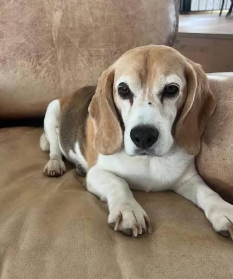 Famoso futbolista salió huyendo de México y revela el insólito motivo de su inesperada decisión