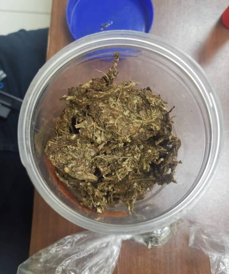 En el allanamiento se encontró un bote con supuesta marihuana seca.