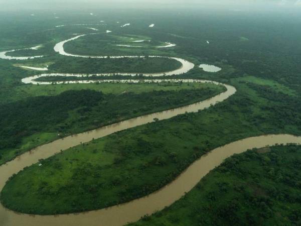 El río que da nombre a la reserva, el Río Plátano, es un importante curso de agua que serpentea a través de la selva y proporciona hábitat para una gran variedad de especies acuáticas.