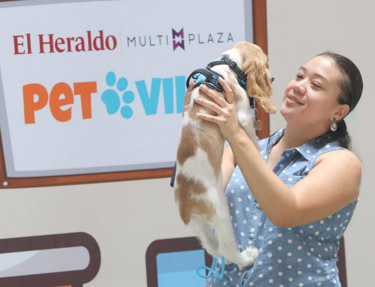 ¡Adorables! Los “puppies” más tiernos de la pasarela de Pet Ville