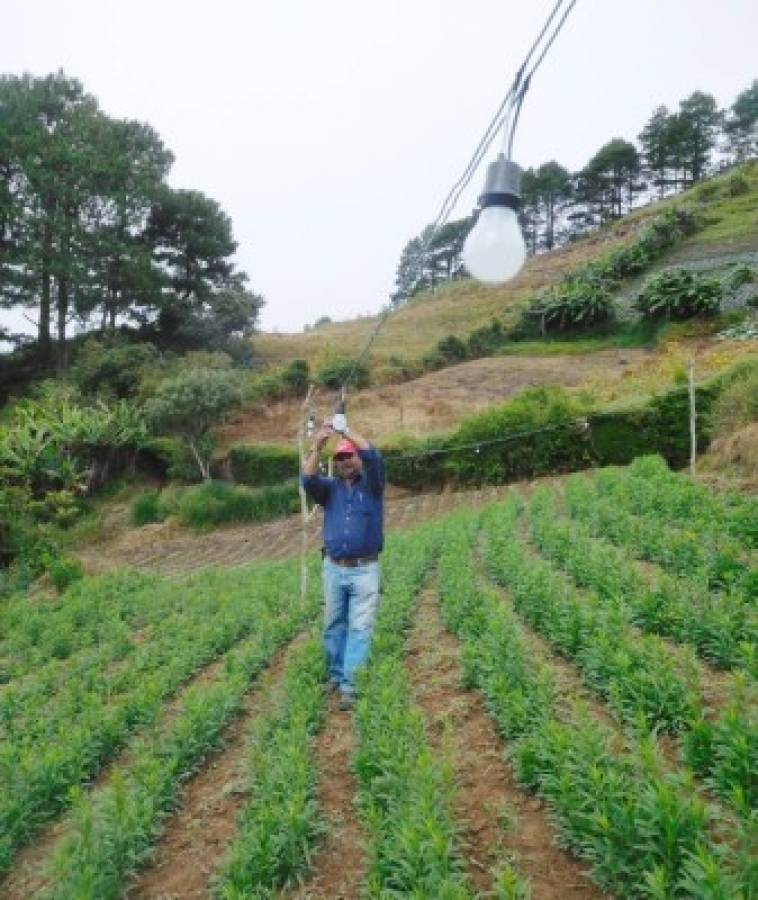 Jutiapa, lugar donde las flores huelen a progreso