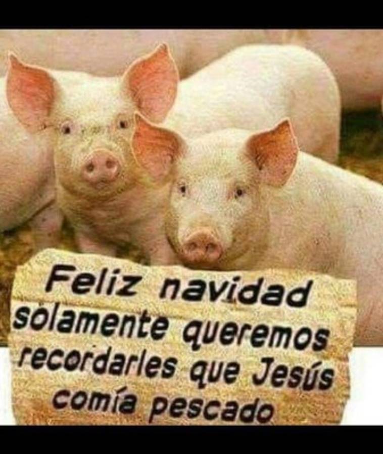 Los mejores chistes de la semana