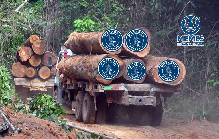 Burlas en redes: Los memes que dejó el triunfo de Olimpia ante Motagua en la triangular