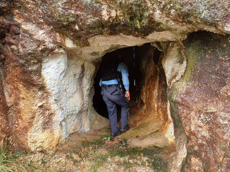 Cubiertos con ramas y semidesnudos: así hallaron a jóvenes desaparecidos en mudanza