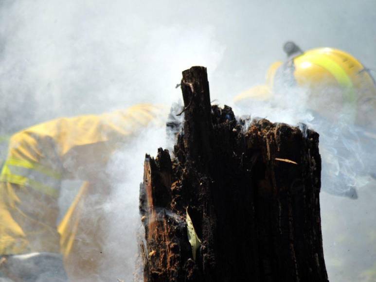 Desolación y aire contaminado en la capital dejan incendios forestales en La Tigra