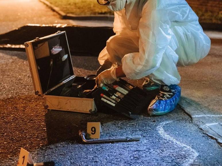 Su sobrino la mató para robarle las joyas y 10 años después su loro le hizo justicia