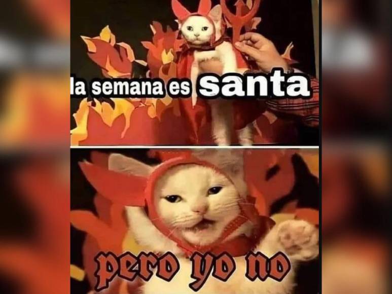 Inicia Semana Santa con los más divertidos memes de la temporada