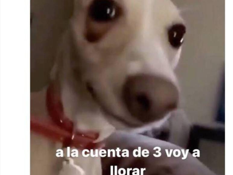 Los divertidos memes de la eliminación de México en el Mundial de Qatar 2022