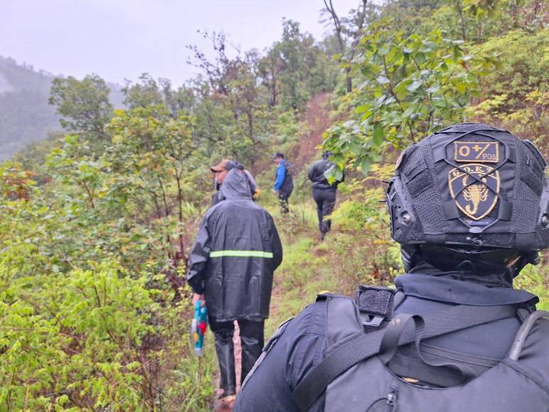 Cubiertos con ramas y semidesnudos: así hallaron a jóvenes desaparecidos en mudanza