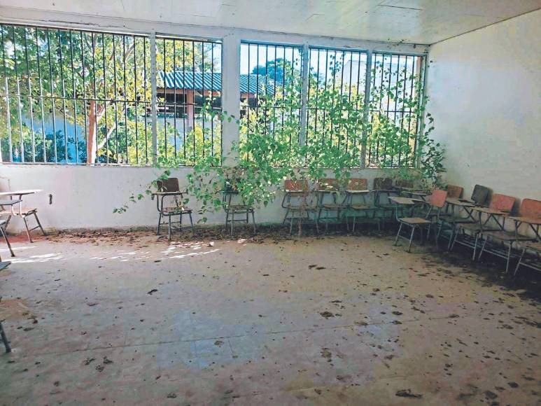 “Se desplomaban y no podían hablar”: temor en CEB Lempira de Santa Bárbara por inexplicable comportamiento de 12 alumnos