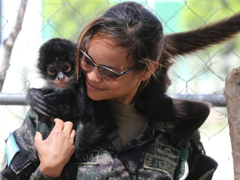 Estos son los felinos y aves que están en recuperación para ser liberados