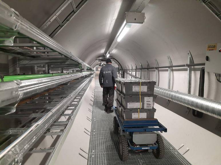 Así es la ‘bóveda del fin del mundo’, donde se guardan las semillas básicas ante cualquier catástrofe