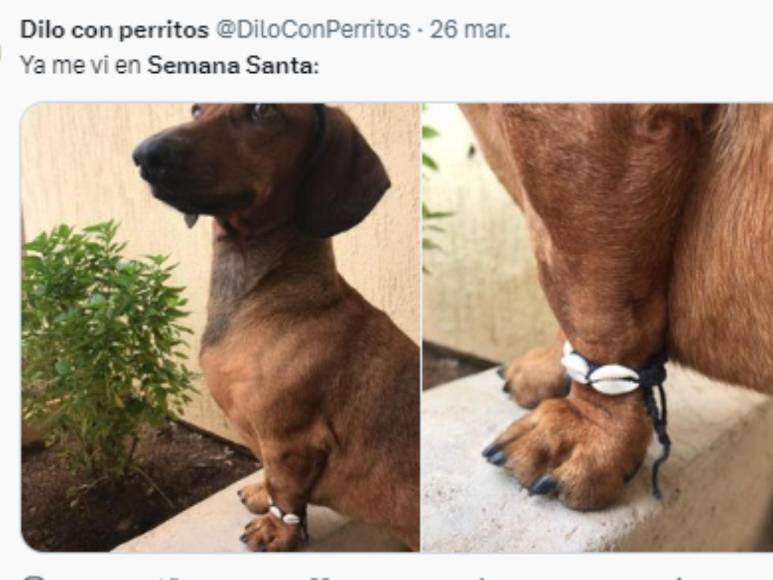 Semana Santa 2023: Los divertidos memes previo al feriado