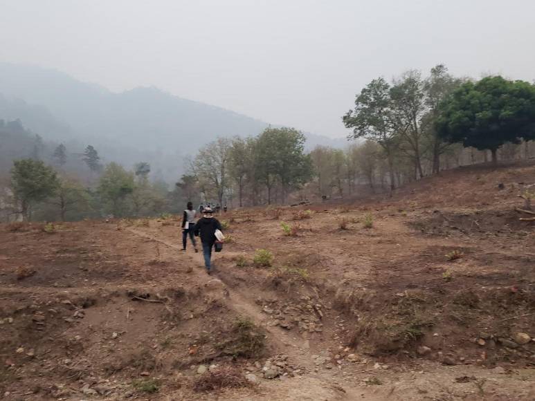 Así fue la dura travesía para llegar hasta avioneta accidentada del empresario Alan Flores