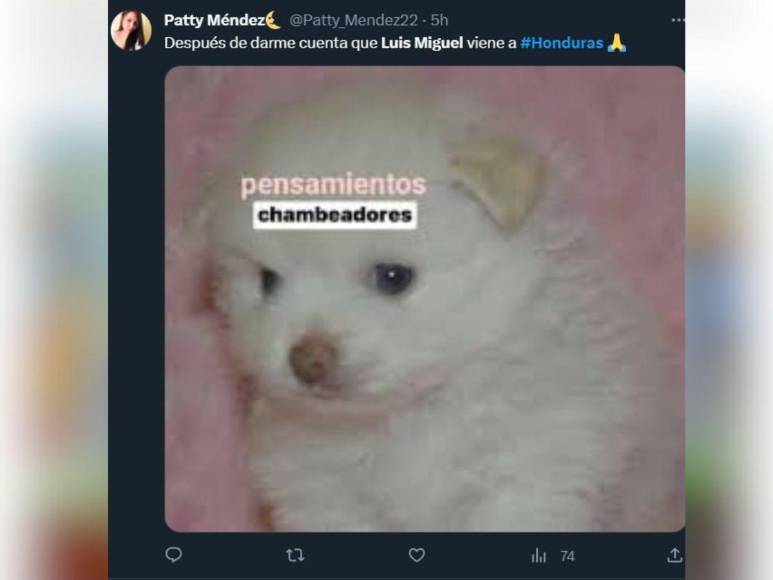 Memes: Luis Miguel viene en 2024 y hondureños se preguntan cómo pagarán el concierto