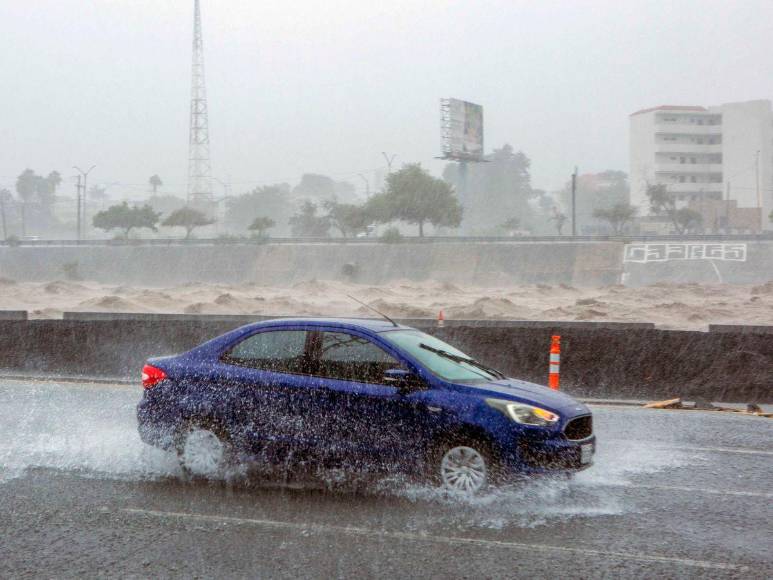 Muertos, calles inundadas y árboles caídos provoca tormenta Alberto en México