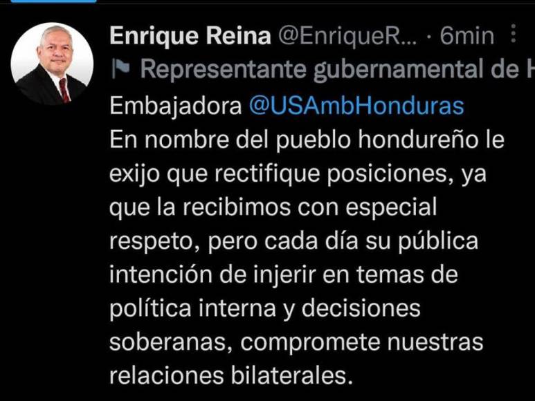 Los encontronazos entre el canciller Reina y la embajadora Laura Dogu