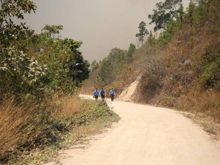 Bruma y árboles quemados se apoderan de La Tigra: así es el ambiente desde adentro