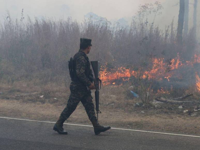 Incendio forestal destruye hectáreas de bosque y provoca una intensa capa de humo en Zambrano