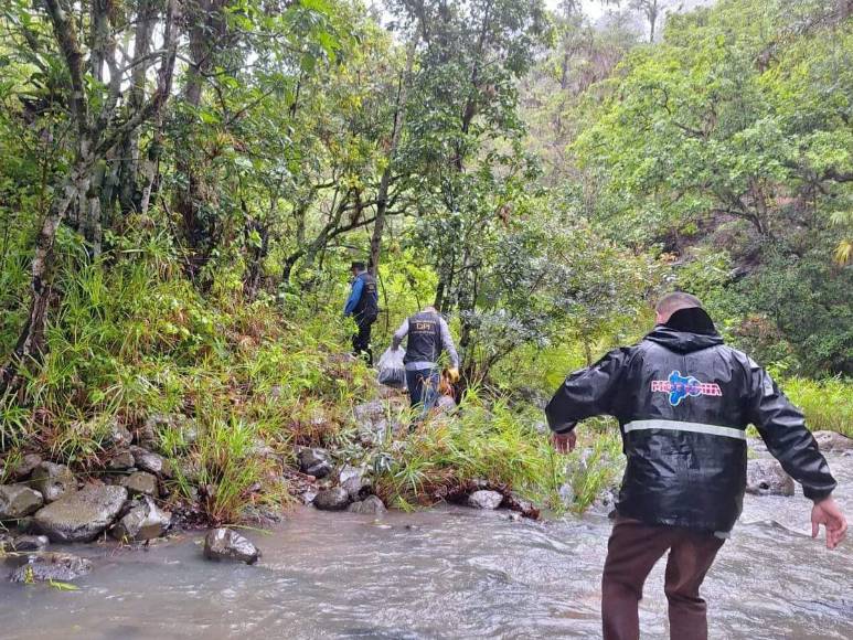 Boscoso y sin señal: la zona donde se hallaron los cuerpos de jóvenes raptados tras mudanza