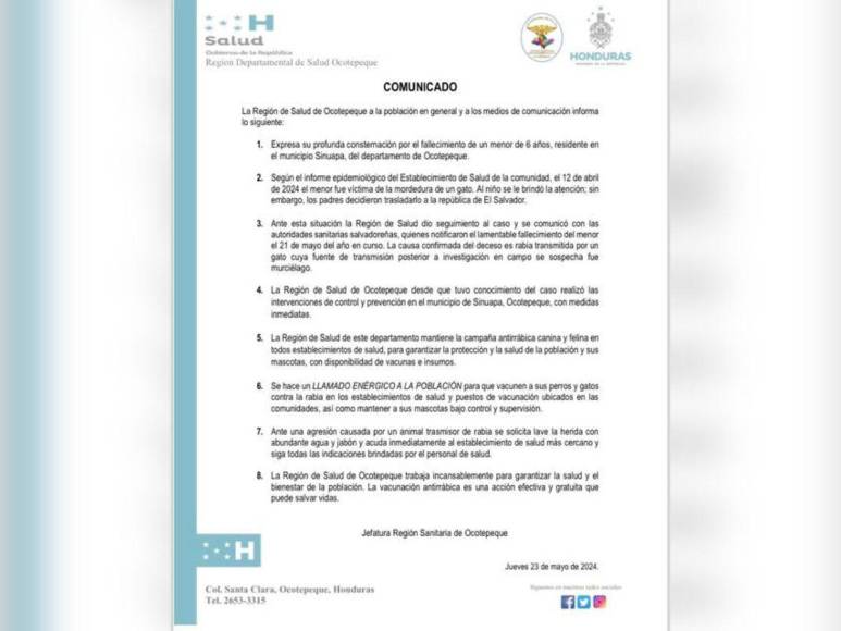 Rabia transmitida por murciélago: lo que se sabe de la muerte de niño hondureño por mordedura de un gato