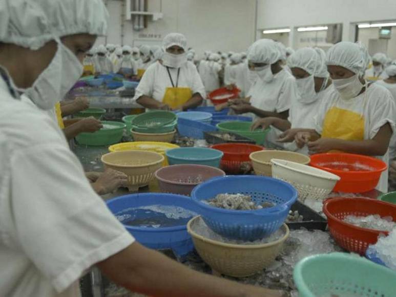 Camaroneros piden a Cancillería intervenir ante cierre de mercado mexicano