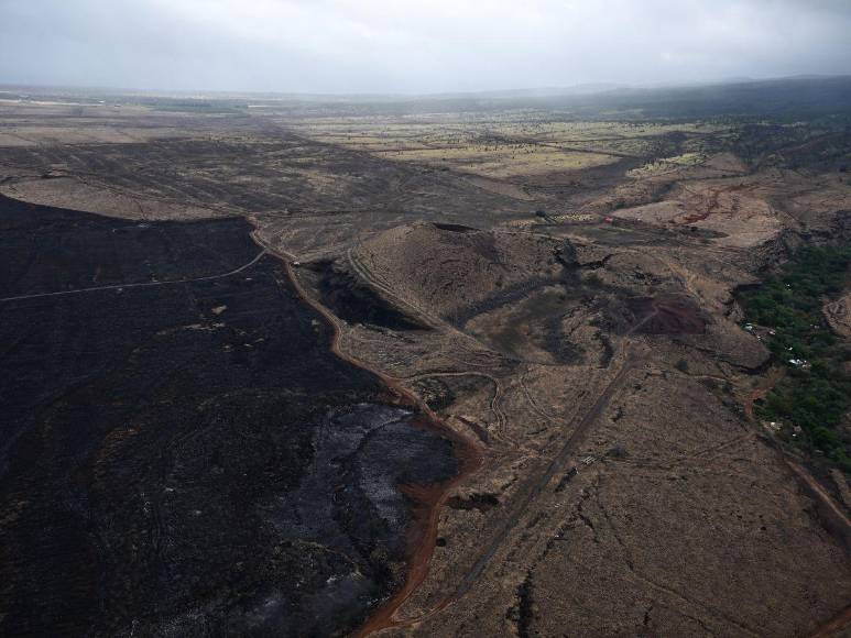Al menos 55 muertos, familias sin hogar y llamas interminables: las imágenes del pavoroso incendio en Hawái