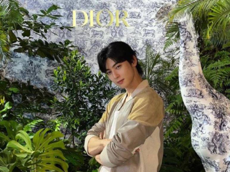 Cha Eun Woo y los mejores k-dramas donde demostró su talento como actor