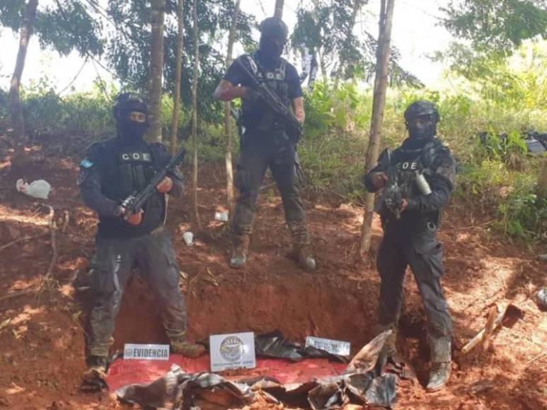 El crimen de un sacerdote, un parricidio y dantescos hallazgos: los sucesos de la semana