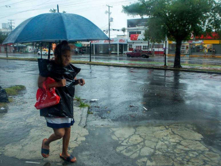 Muertos, calles inundadas y árboles caídos provoca tormenta Alberto en México